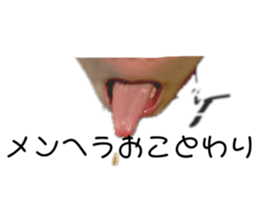 394451269