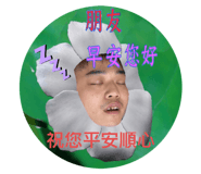 394465622
