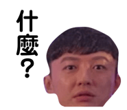 394466493