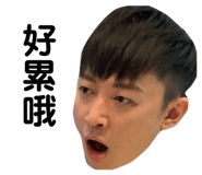 394466504