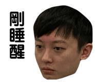 394466506