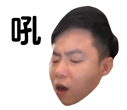 394466509