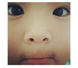 394490157