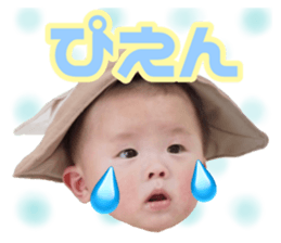 394523685