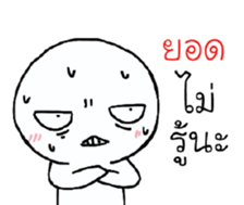 39454869