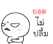 39454876