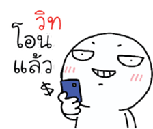 39454954
