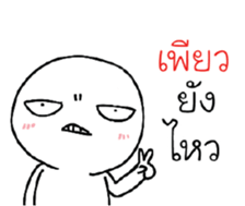 39455068