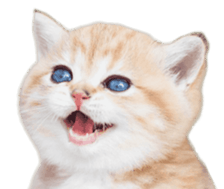 394553059