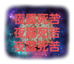 394553819
