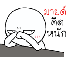 39455504