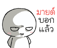 39455509