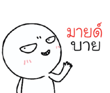 39455528
