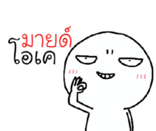 39455531