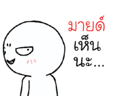 39455537