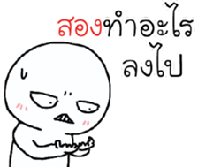 39455798