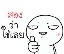 39455800