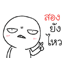 39455804