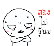 39455805