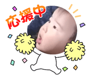 394558455