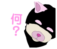 394573725