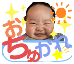 394577737