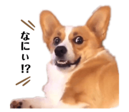 394578292