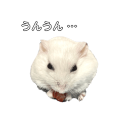 394585568