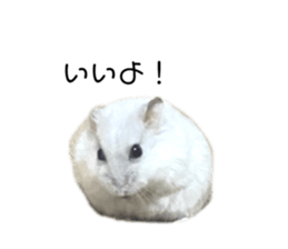 394585569