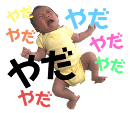 394587913