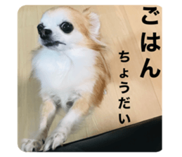 394613714