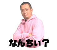 394645291