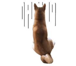 39465059