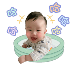 394664348
