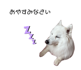 394664602