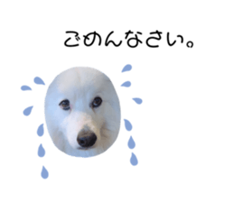 394664603