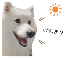 394664607