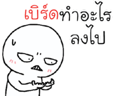 39467718