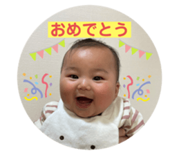 394690858