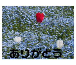 394848952
