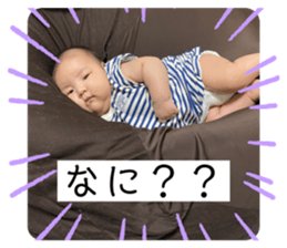 394854661