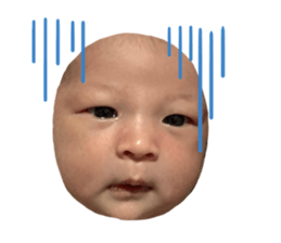 394865306