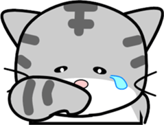 394890630