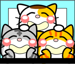394890642