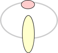 394890647