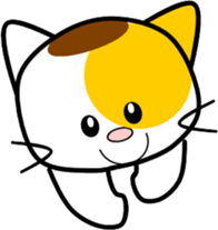 394890656