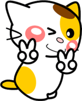 394890658