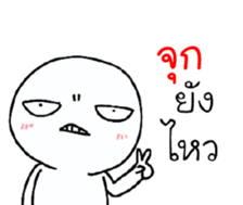 39490540