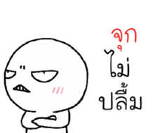 39490548