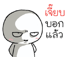 39490565